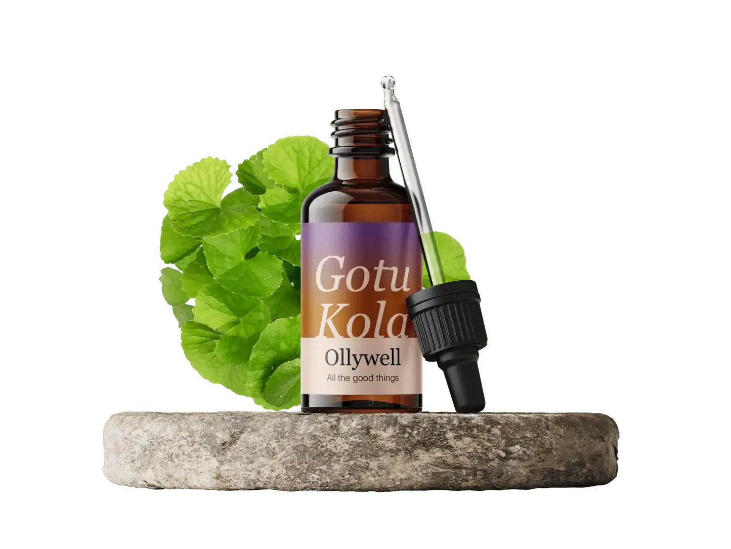 Gotu Kola: Renewal+