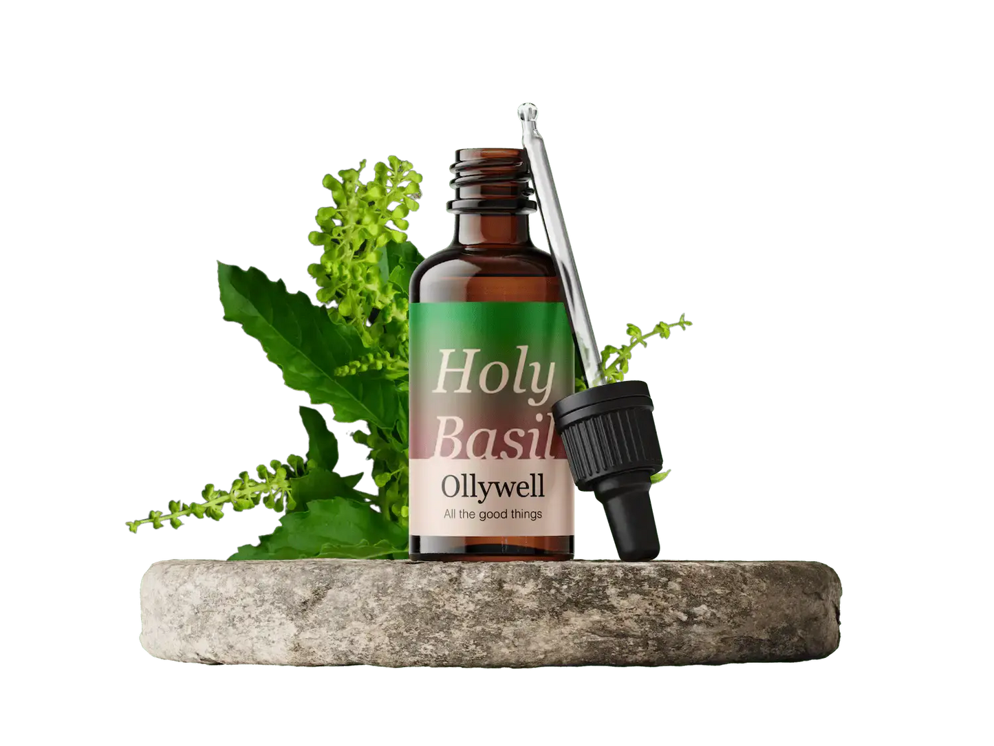 Holy Basil: Balance+