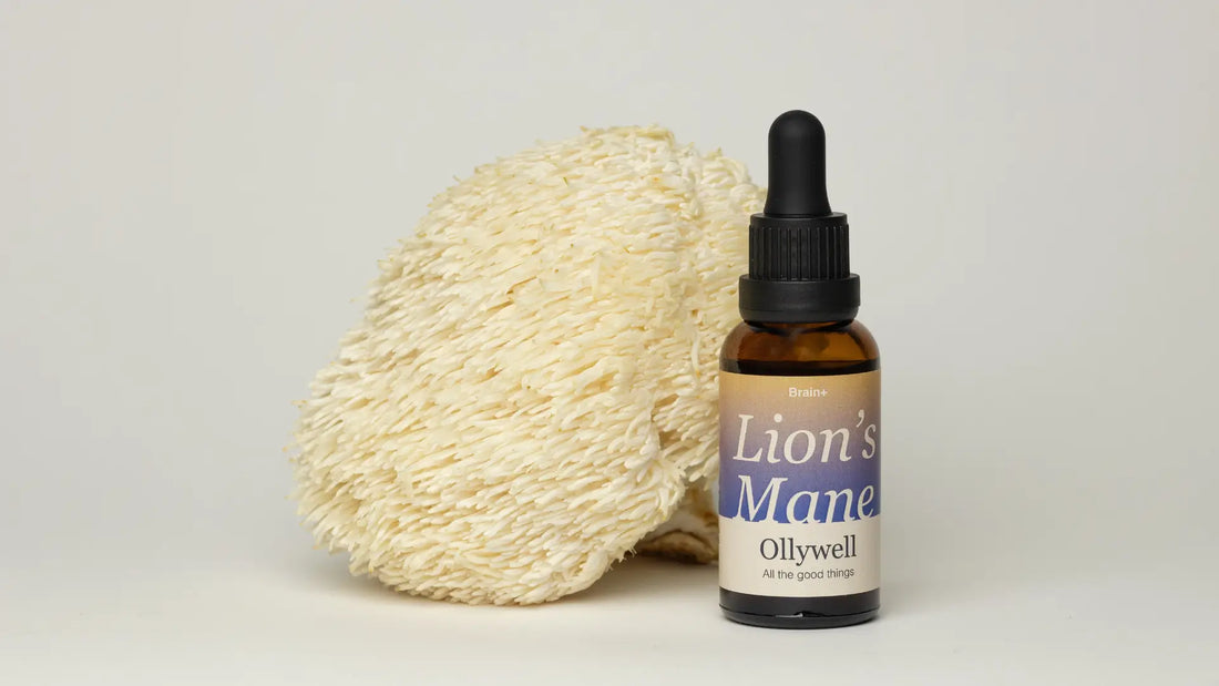 A bottle of Lion's Mane supplement next to a fresh fruiting body of the Hericium erinaceus mushroom.