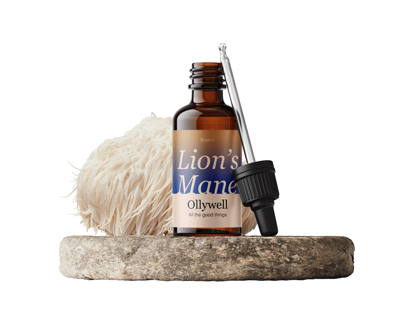 Lion's Mane: Brain+